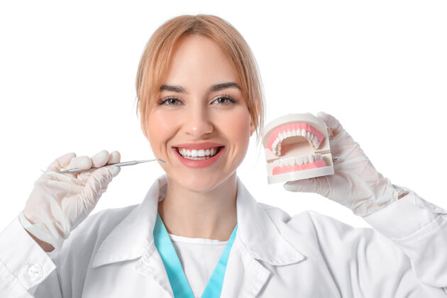 检查白色表面塑料下巴模型的女牙医模特医生工具