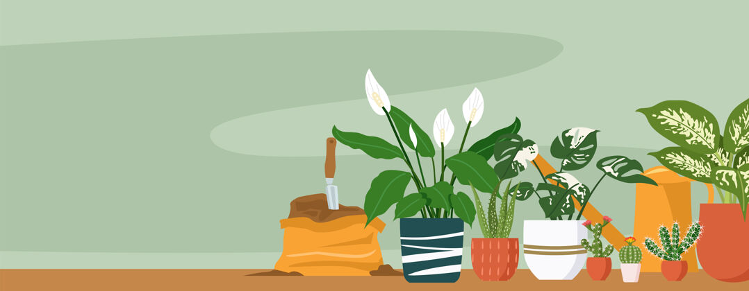 花园不同室内植物的插图自然花盆护理