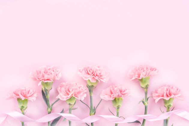 妈妈美丽的粉红色康乃馨在粉彩粉红色的桌子背景上 为母亲节献花的概念花开花叶子