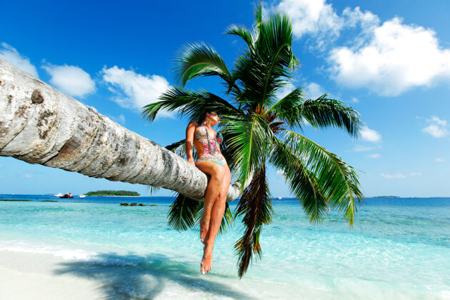 海岸美丽的女人坐在海上的棕榈树上黑发海洋海景