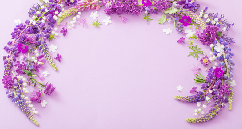 五月纸背景上的紫色花朵蓝色紫色植物