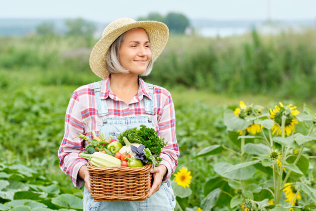 家庭女人手里拿着一篮子丰收的有机蔬菜和根上的有机生物农场.秋天蔬菜收获循环生物农产品