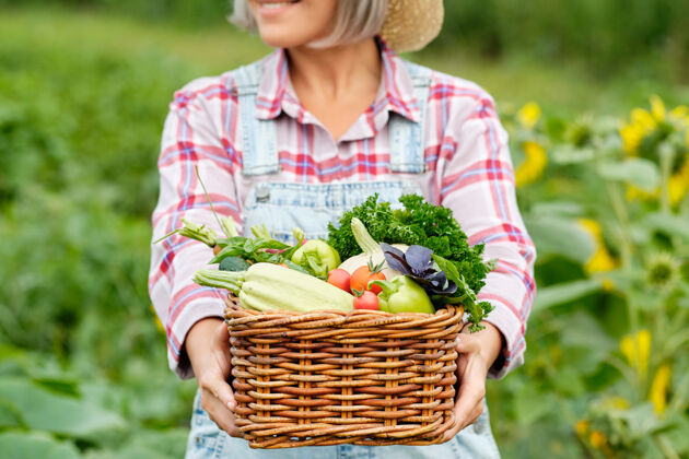 秋天女人手里拿着一篮子丰收的有机蔬菜和根上的有机生物农场.秋天蔬菜收获零洋葱园艺