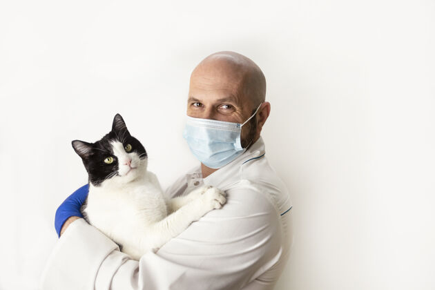 健康兽医把一只猫抱在怀里武器.兽医药物拥抱手套医学