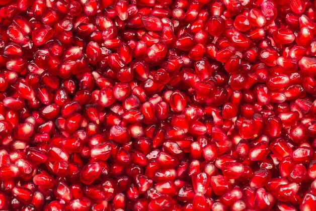 成熟的圣诞装饰 白色背景上的红色球自然营养农业