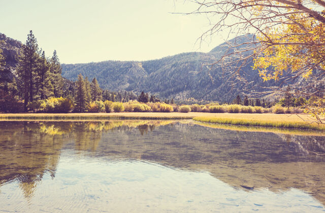 自然秋天美丽的湖泊山海岸美国