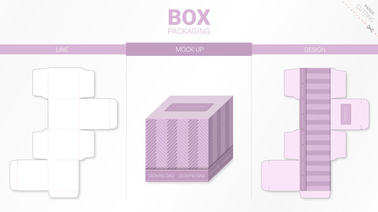 盒子盒包装和模型模切模板形状包装模板