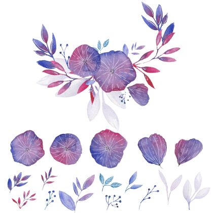 彩色弗吉尼亚花卉水彩元素插画抽象绘画风格化
