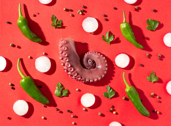 欧芹红底炖章鱼触角和鱼触角的平面构成西班牙美食食品