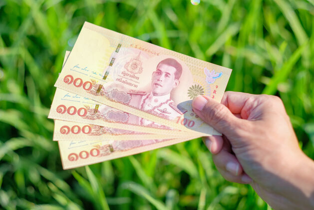 现金新设计100泰币绿色稻田背景储蓄奢侈品支付