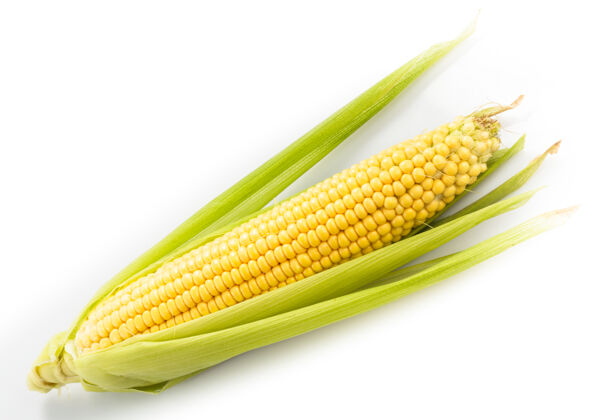 夏天玉米芯被隔离了生产蔬菜玉米棒