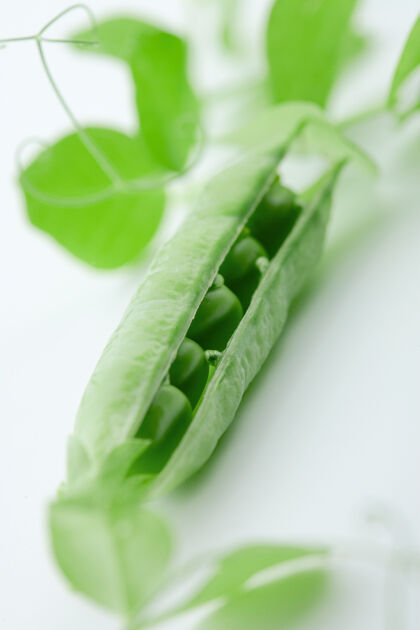 豆类豌豆荚露出豌豆与白色的对比裂纹新鲜自然