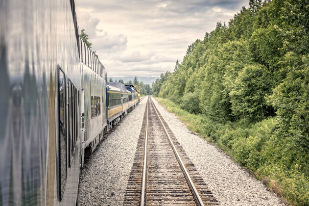铁轨直走 阿拉斯加荒野中的火车和铁轨火车森林铁路