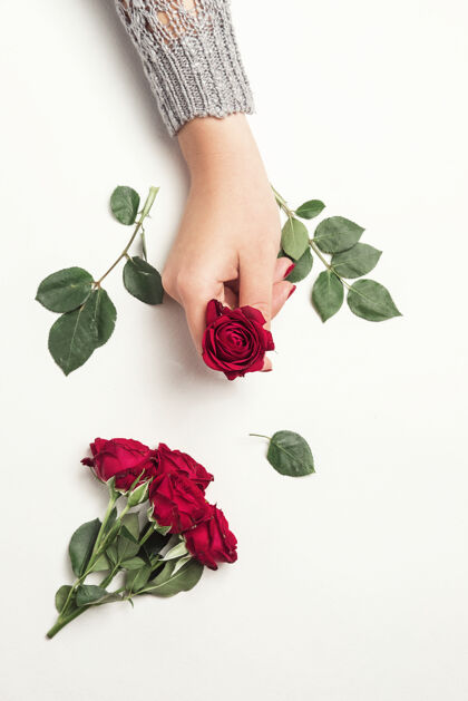 芳香花儿玫瑰在女孩的手中 俯瞰 小红玫瑰洁白年轻约会花束