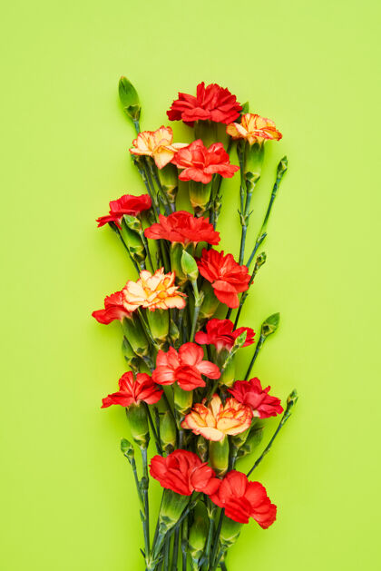春天绿色墙上挂着一束红色康乃馨花花朵花束花束