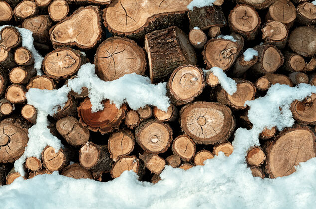 粗糙雪地里的木头寒冷盖堆