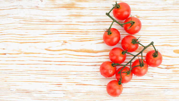 成熟成熟的樱桃番茄放在一根白色的小树枝上特写植物湿剪辑
