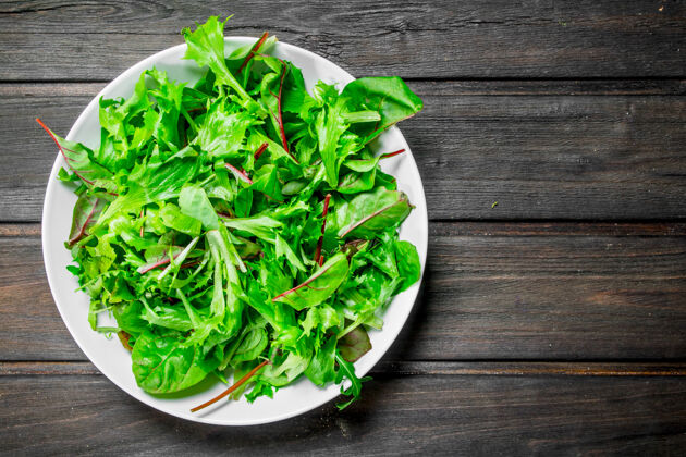 配料健康的芝麻菜沙拉一碗沙拉蔬菜叶子春天