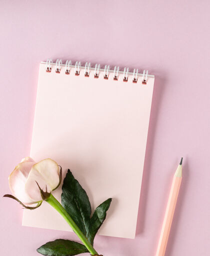 工作区你的文字记事本上的淡粉色表面粉红玫瑰办公室公寓房子