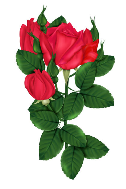 自然鲜红的玫瑰和明亮的色调花团体浪漫