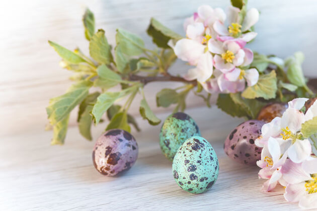 鸡蛋复活节快乐 彩色鹌鹑蛋 苹果背景 春天树.明信片为了假期问候色彩四月
