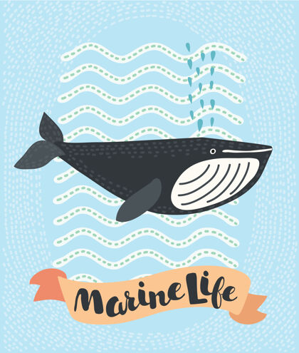 人物鲸鱼微笑涂鸦插图卡通哺乳动物海洋
