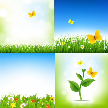 前景春天的自然背景与草的边界和梯度网格插图花卉户外模糊阳光