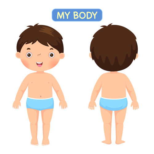 身体一个男孩展示了他的身体孩子男性零件