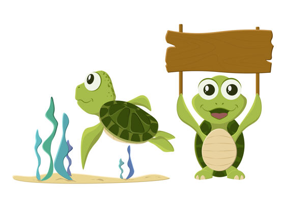 海龟收集海龟卡通隔离在白色姿势乌龟野生动物