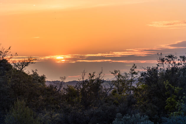 树西班牙山上日落的风景风景惠斯卡风景