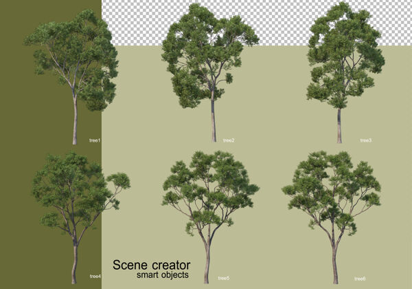 三维渲染各种树木的3d渲染隔离环境美丽植物