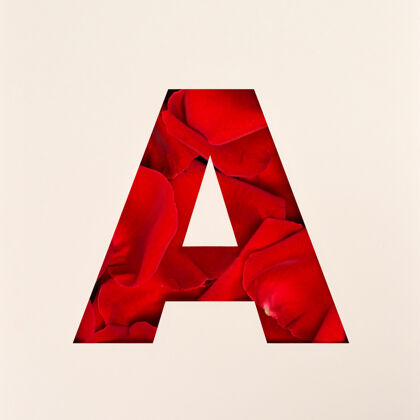 字母表字体设计 抽象的玫瑰花瓣字母字体 逼真的花卉排版-a花字母玫瑰