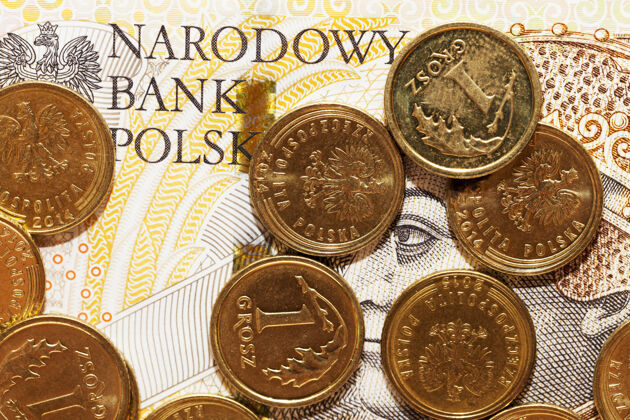财富不同面额和类型的古老波兰兹罗提放在一起会计波兰税收