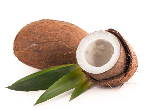 质地白底椰子叶营养背景饮食