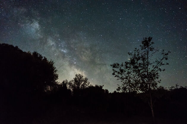天空夜空与银河以上的森林在西班牙银河星系满天