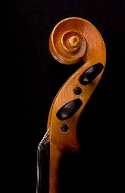 管弦乐队小提琴头的细节精细声学黑色