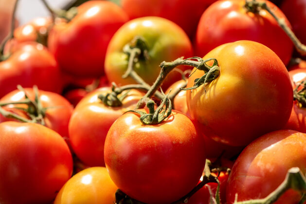 有机天然西红柿水果提取物植物西红柿