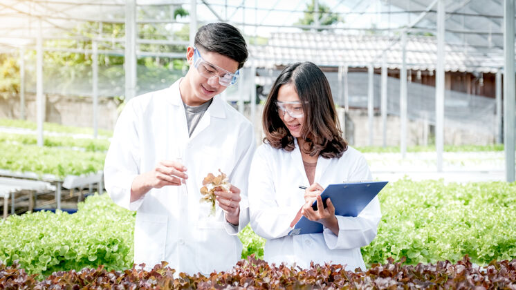 自然两位科学家检查了水培农场的蔬菜有机沙拉和莴苣的质量 并把它们记录在剪贴板上测试生长工作