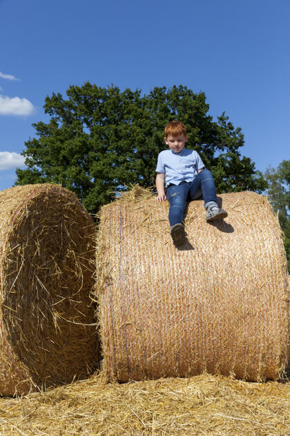 农业一个红头发的男孩坐在地里一堆金色的稻草上农村坐兄弟