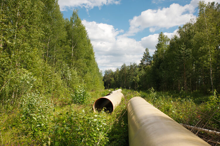 圆筒穿过绿树的煤气管道管道自然连接器