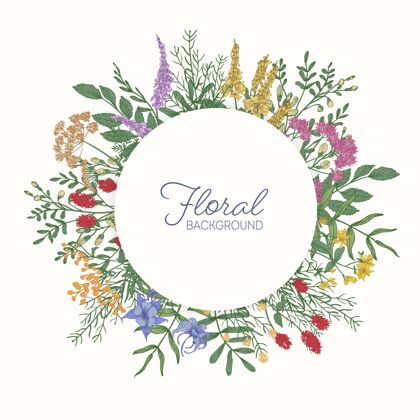 装饰圆形框架或边框 装饰有五颜六色的盛开的野草花 花序和叶子美丽浪漫颜色