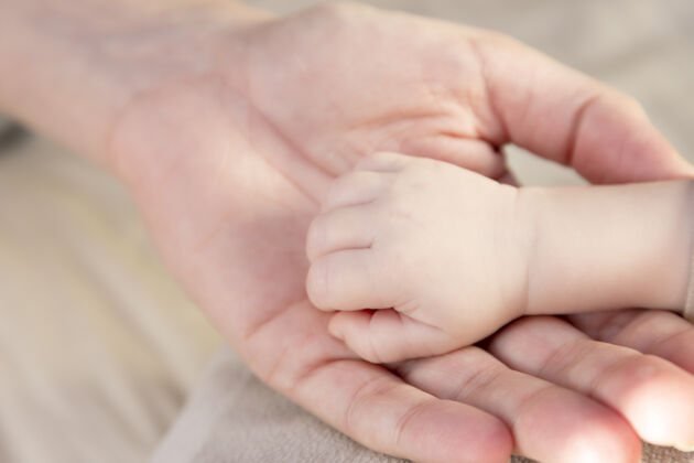 成人用新生儿的手指和妈妈的手人抱着柔软