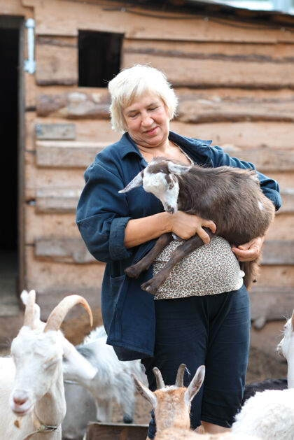 可爱老妇人带着一只小山羊家庭传统农田