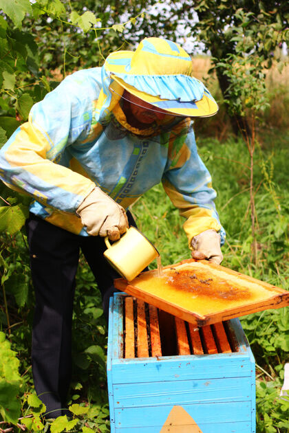 蜜蜂养蜂人用糖浆喂蜜蜂蜜蜂控制防护服