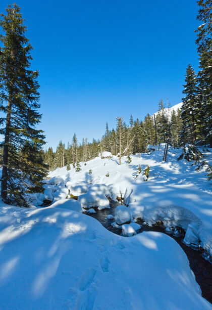 小溪冬天多雪的岩石斜坡上有一条小山涧和冷杉林季节雪堆雪