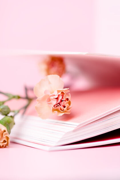书小康乃馨和打开的书淡粉色花开卷