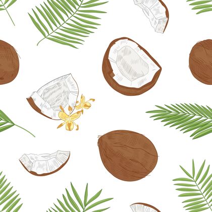 壁纸天然的无缝图案与异国情调的新鲜椰子 盛开的花朵和棕榈树叶手工绘制的白色背景手绘开花新鲜
