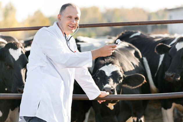 护理兽医在农场养牛健康食品和饮料自然医疗保健长袍