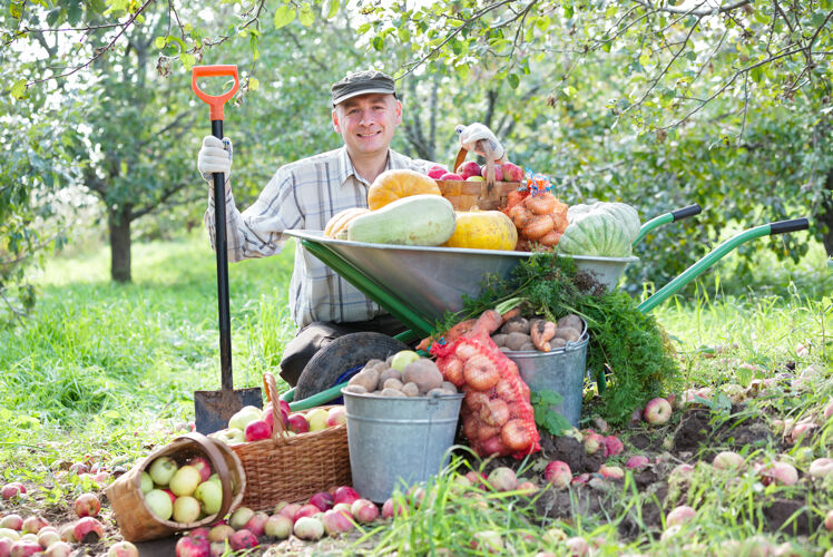 雄性园子里种着蔬菜和水果的人花园篮子院子