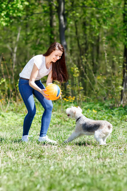 拥抱女孩在运动球训练狗在夏季公园女人休闲户外